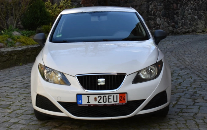 Seat Ibiza cena 10900 przebieg: 231543, rok produkcji 2009 z Miastko małe 326